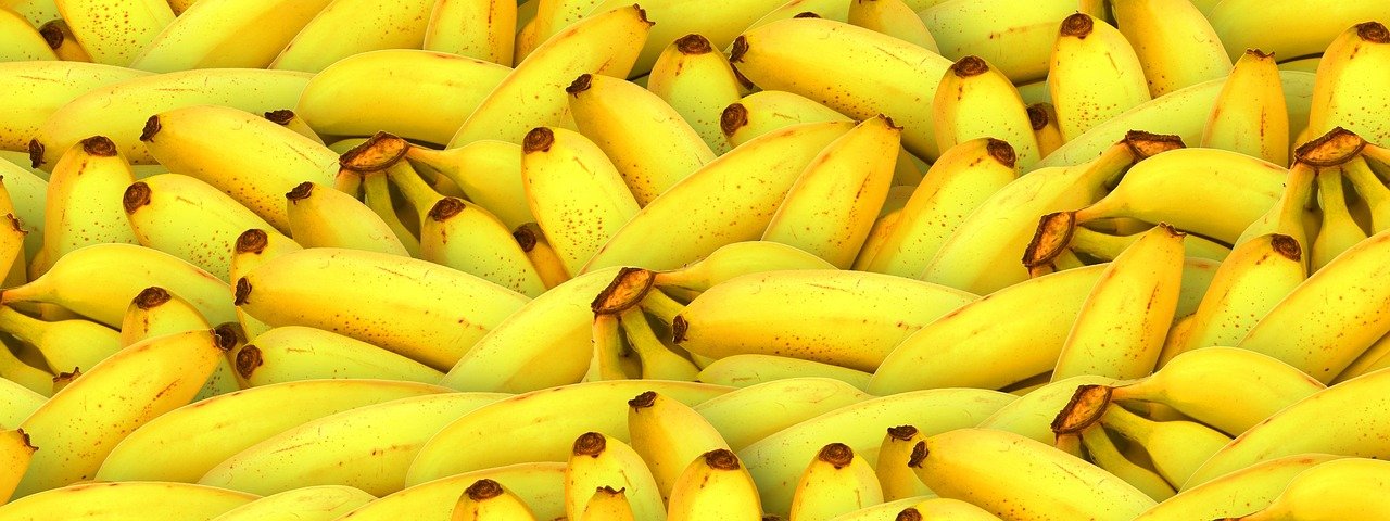 banner, fruit, vegetarian, natural, organic, food, banana, yellow nature, yellow food, yellow banner, yellow fruits, yellow banana, yellow natural, banana, banana, banana, banana, banana